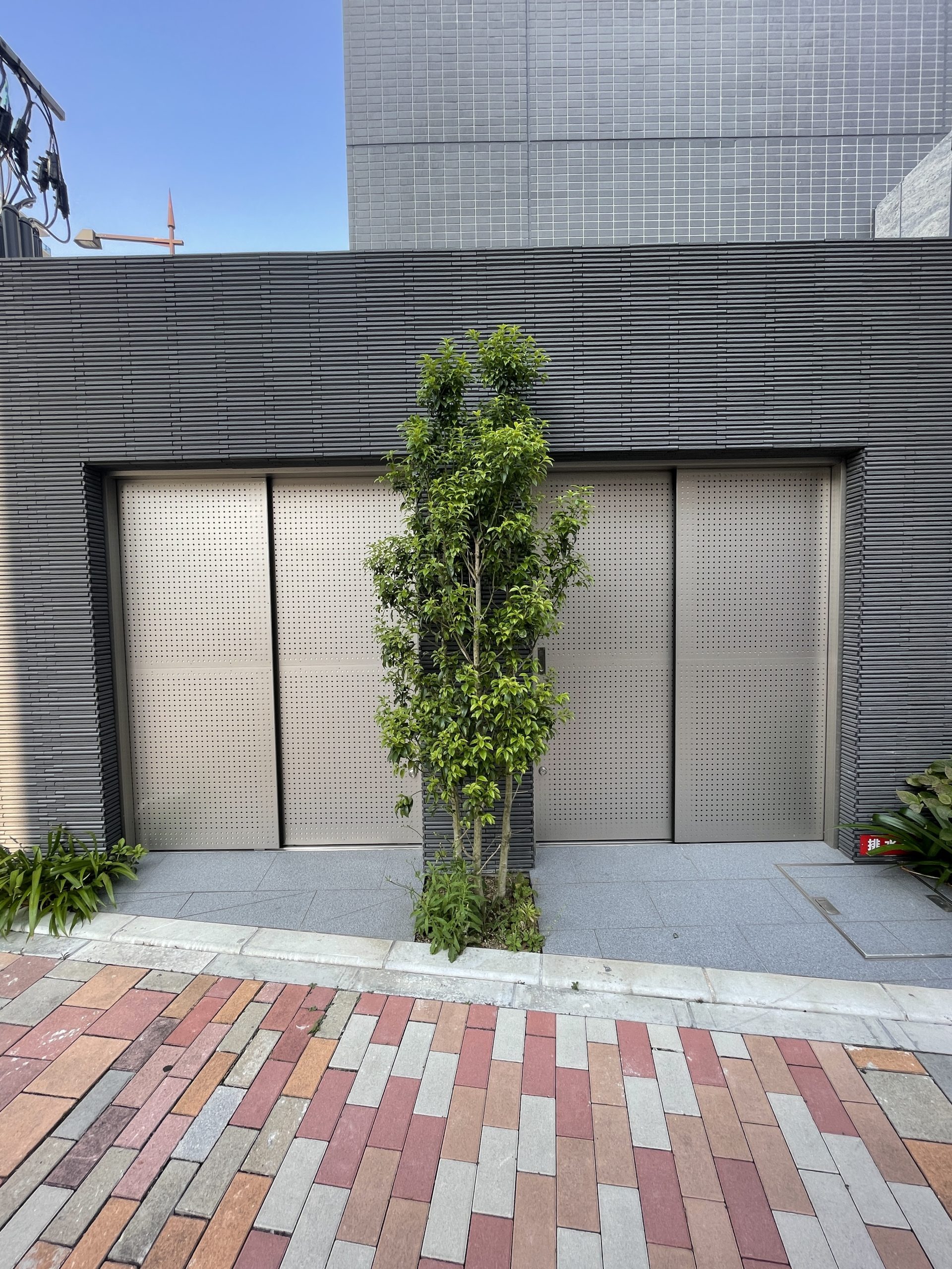 リアンプレミアム大濠公園 IMG_7892