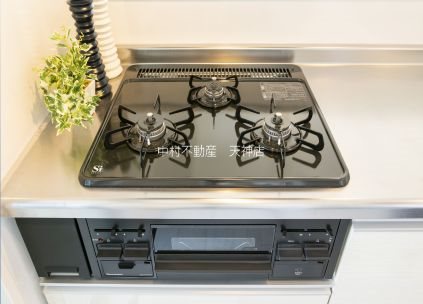 アルファシオレヴァーク その他
