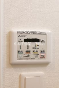 アルファシオレヴァーク その他