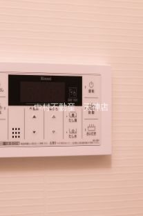 アルファシオレヴァーク その他
