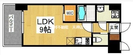 アソシアグロッツォ薬院サウスガーデン 間取り