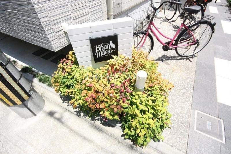 バーンメアオ　パトナム その他
