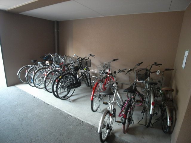ヴィオレータ その他