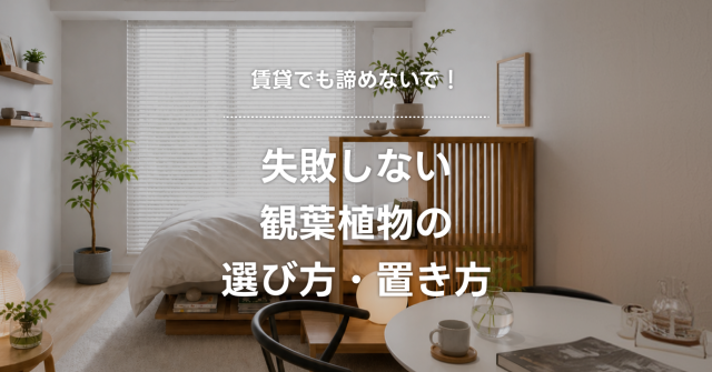 観葉植物で部屋をおしゃれに変える｜賃貸でも失敗しない選び方と置き方